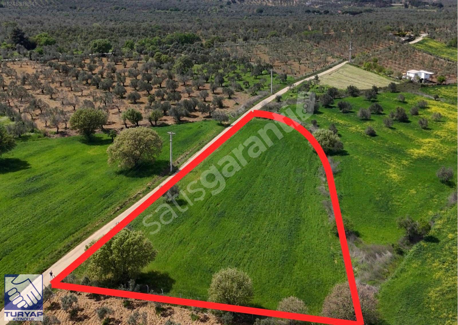 TURYAP ALTINOLUK'TAN PELİTKÖYDE YATIRIMLIK TARLA