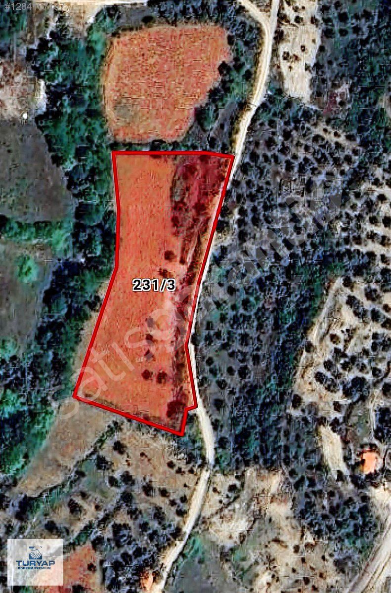 MUĞLA MENTEŞE DAĞPINARDA YATIRIMIN GÖZDE BÖLGESİNDE TARLA ARSASI