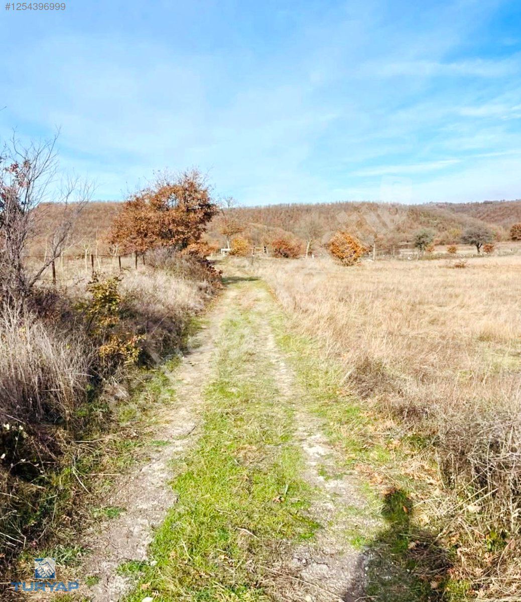 TURYAP'TAN YENİ OTOYOLA YAKIN , CAMPİNG İMARLI