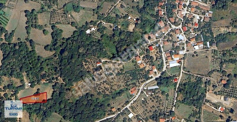 Turyap Çiftlikköy ofisinden İlyasköy de Satılık Tarla