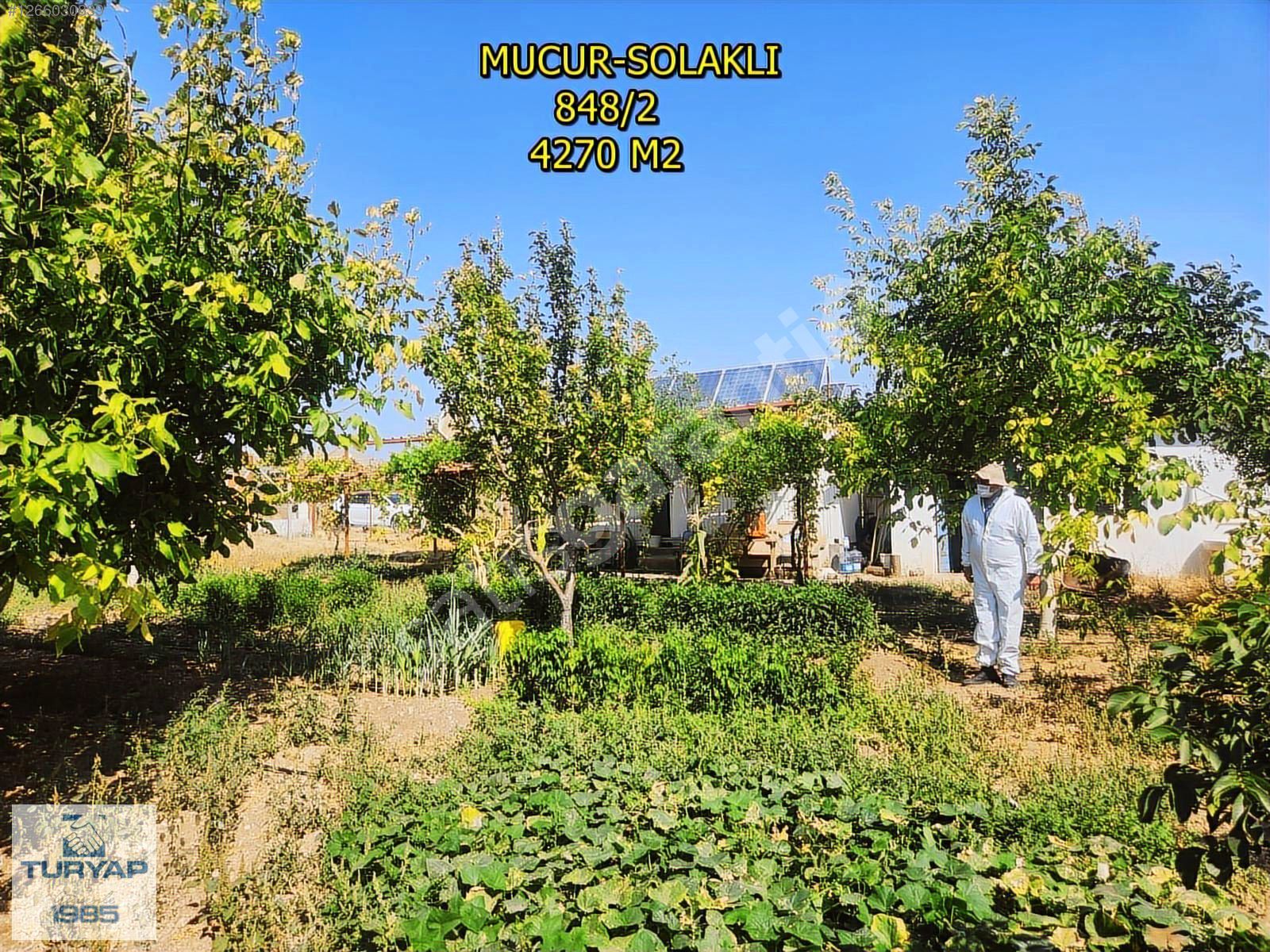 MUCUR SOLAKLIDA 4270 M² İMAR PARSELLİ DONANIMLI MEYVE BAHÇESİ