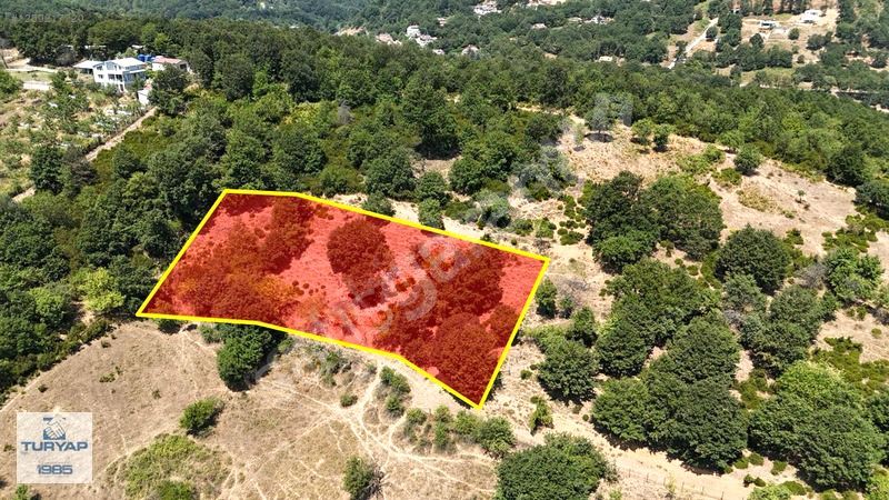 GÜNEYKÖY'DE YATIRIM FIRSATI, RESMİ YOLA CEPHE 2912 m² TARLA