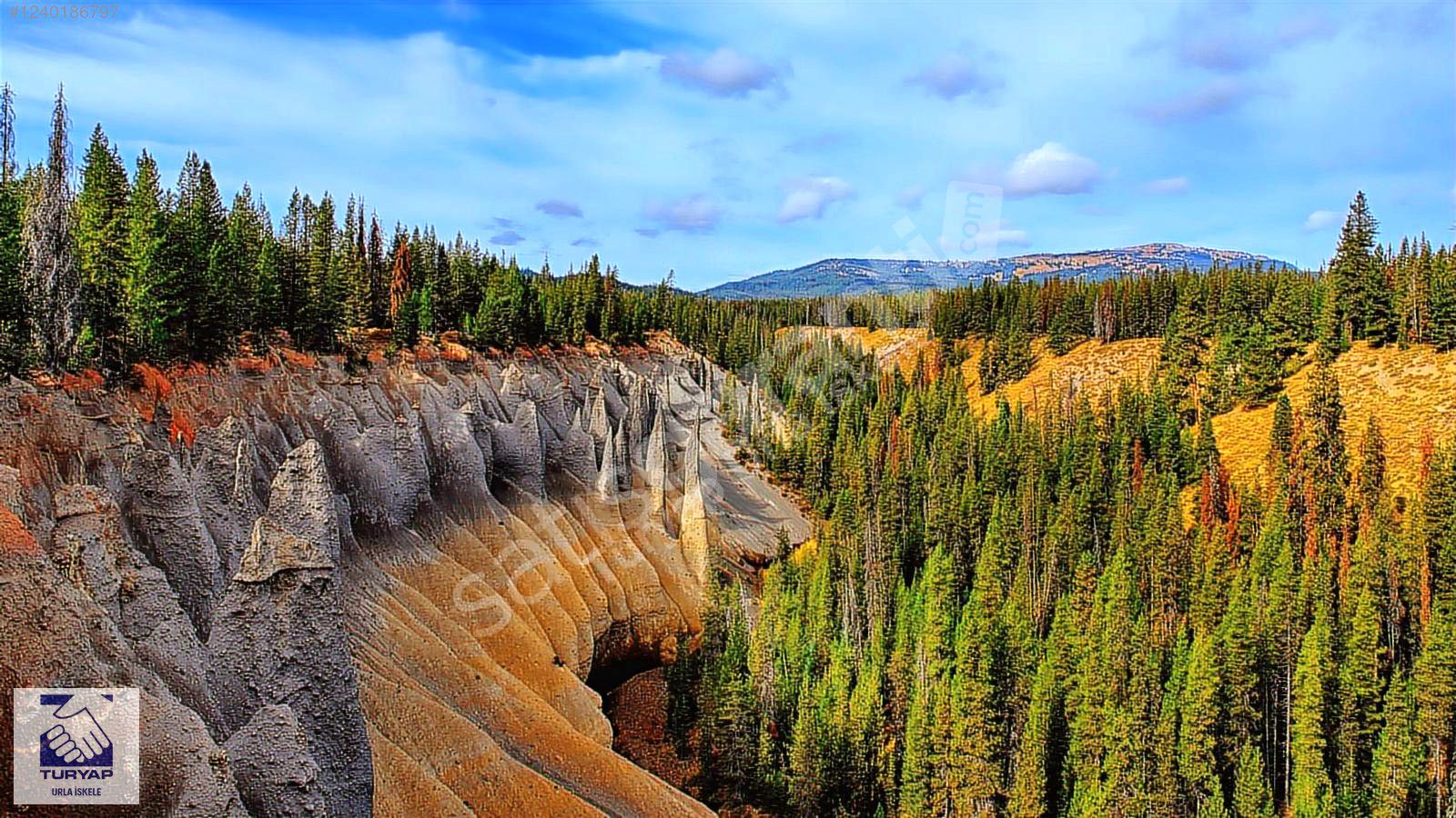 TURYAP Urla İskele | Bademlerde Satılık Zeytin Ağaçlı Tarla