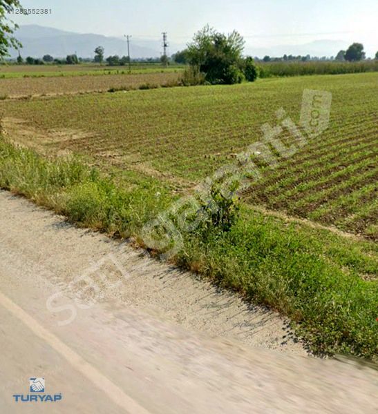 BAYINDIR HASKÖY'DE ELEKTRİK-SU-YOL MEVCUT 6792 M2 SATILIK TARLA