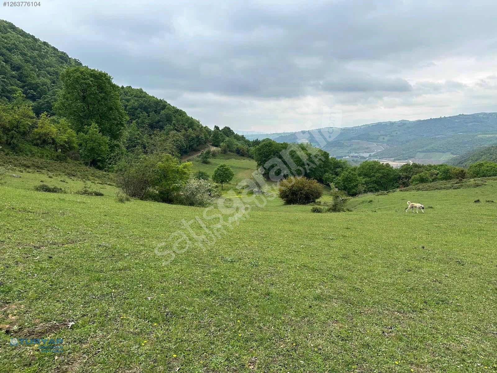 KARAMÜRSEL İNEBEYLİ 4328 M2, %5 İMARLI,YOLA CEPHELİ,SATILIK ARSA