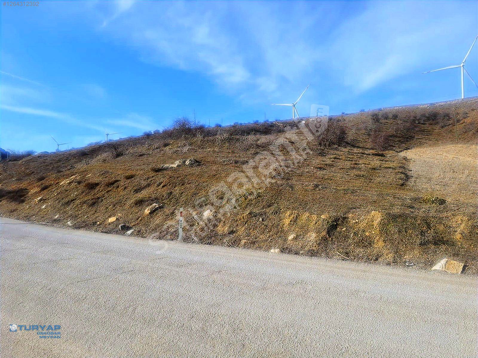 TEPEBAŞI KARAÇOBANPINAR 'DA YOLA CEPHELİ ARAZİ