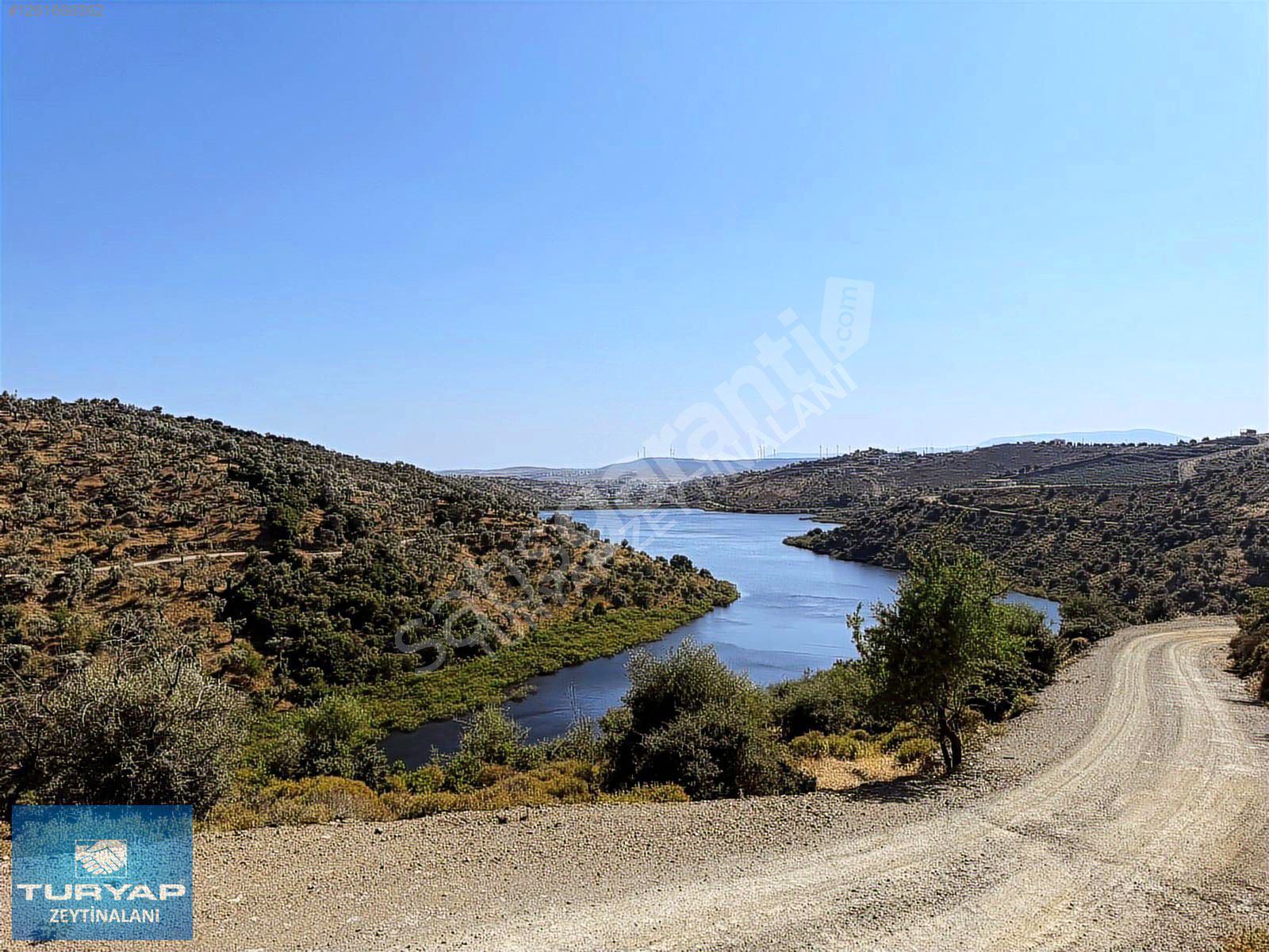 SEFERİHİSAR ULAMIŞ'TA SATILIK ZEYTİNLİK VE ÇELİK EV