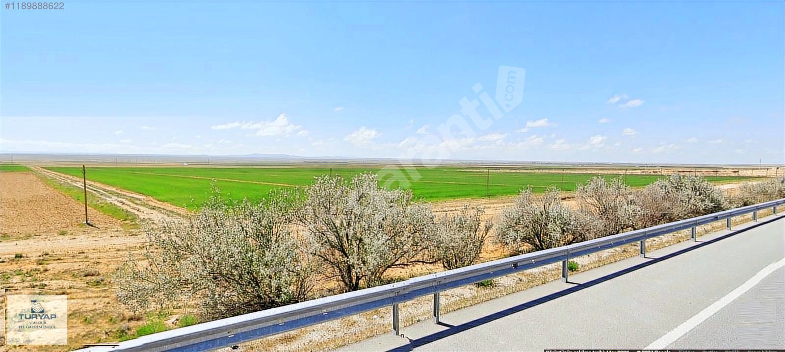 KARAMAN AYRANCI'DA BULVAR ÜZERİNDE 137 DÖNÜM VERİMLİ TARLA