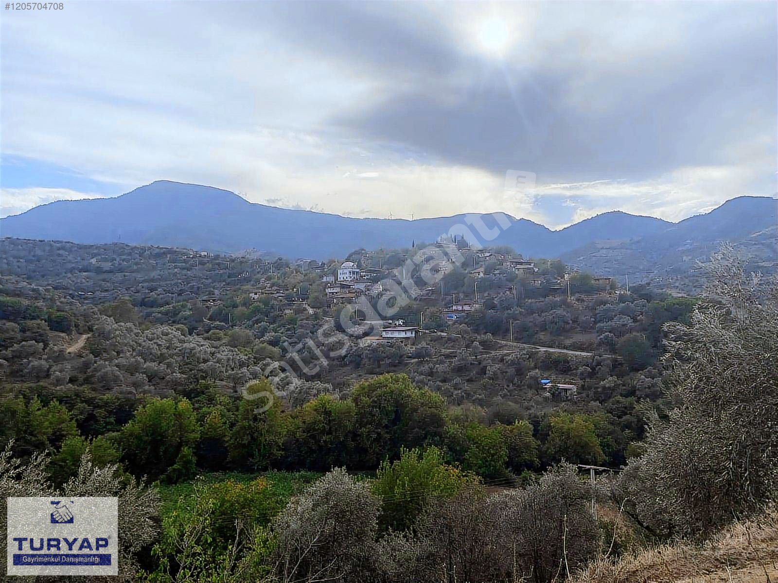 TURYAPTAN KÖY MERKEZİNE VE BARAJA YAKIN ZEYTİNLİK!