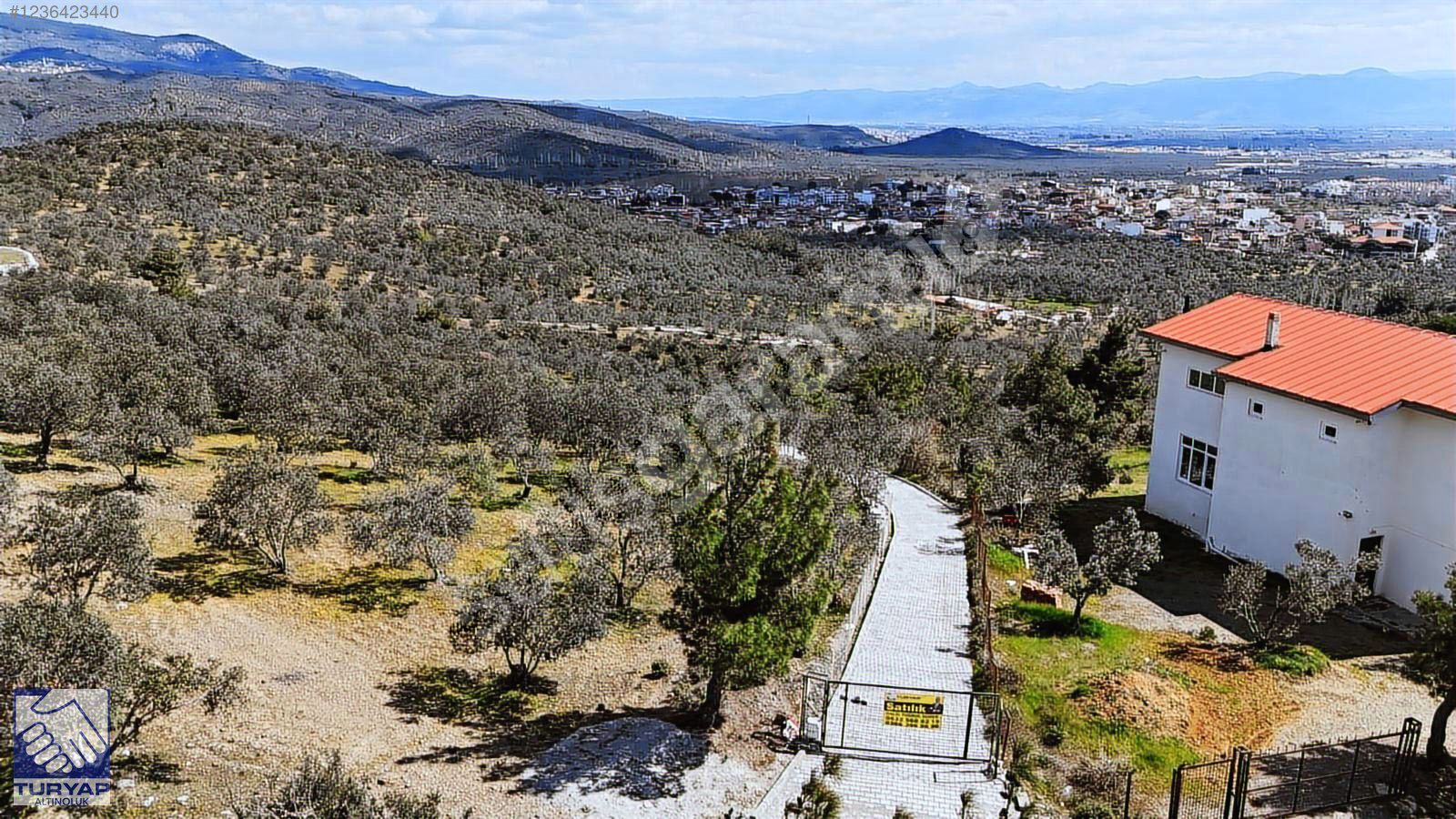 Turyap Altınoluk Zeytinli Köyünde 330 Ağaçlı Satılık Zeytinlik