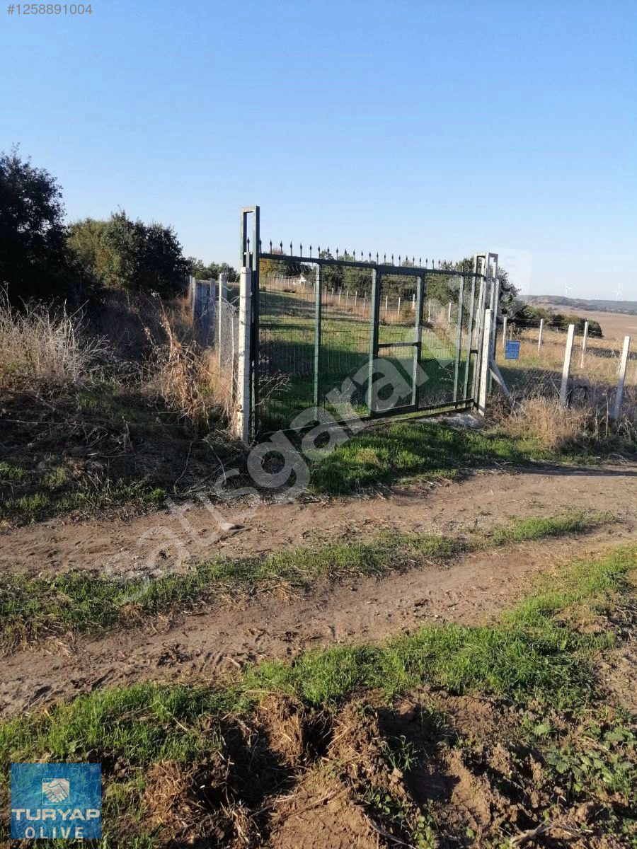 Silivri Büyükkılıçlı acil Satılık tarla