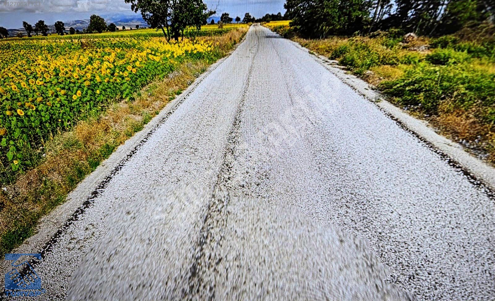 TRAKTÖR (FİAT 480 HEDİYE) HAVZA YUKARISUSUZ MAH 10.700 M2 TARLA