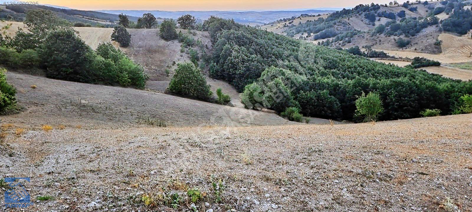 SAHIBINDEN YATIRIMLIK TARLA TASOLUK MEVKII KACIRILMAYACAK FIRSAT