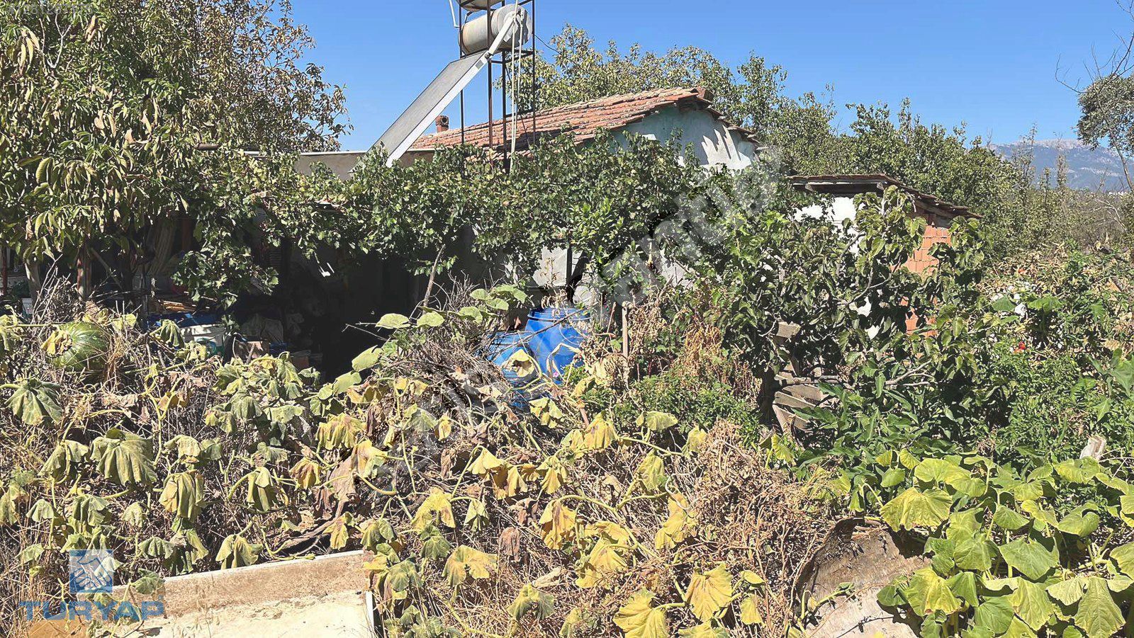 Torbalı Karakuyu Mah 1320 m2 Köy içi Tarla ve Zeytinlik