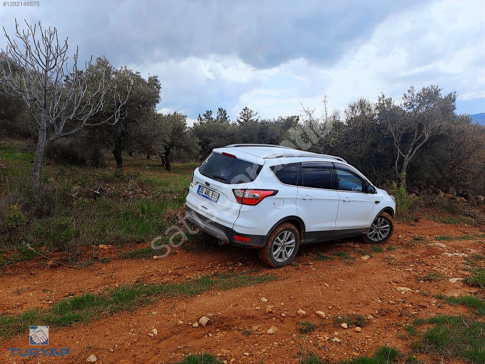 Torbalı Dirmil Mah 4902m2 Tek Tapu Satılık Zeytinlik