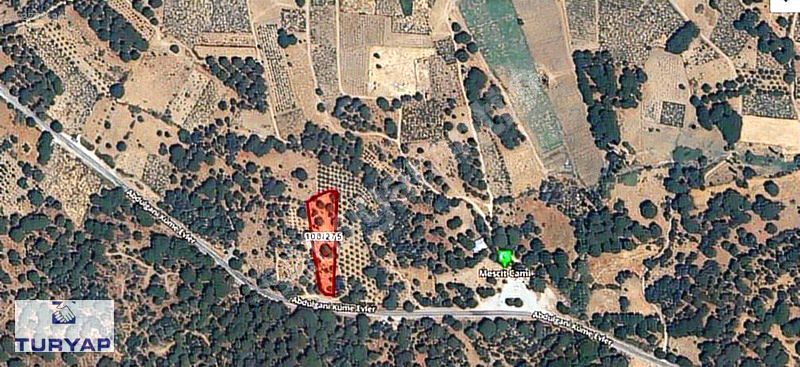 İZMİR BERGAMA AŞAĞIBEY MAH.SATILIK BAĞ YERİ