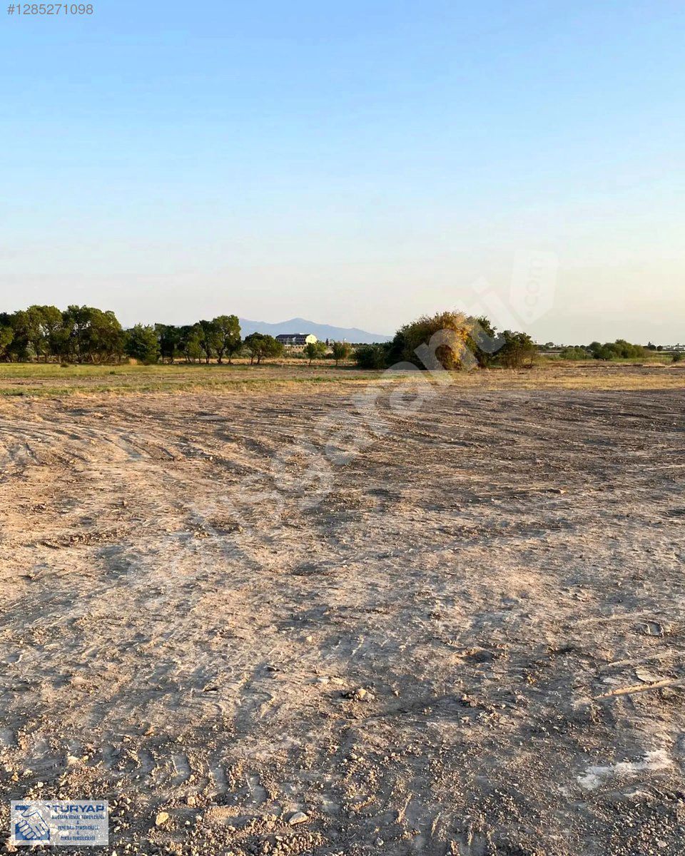 DİKİLİ SALİHLER ALTINDA 500 M² YERLER SİZLER İÇİN HAZIR.