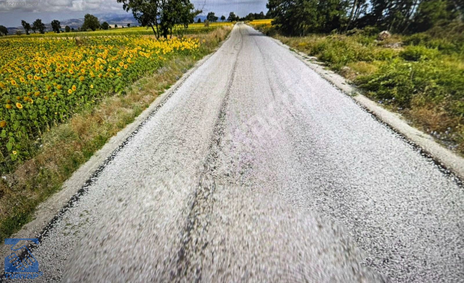 ASAĞIYAVUCUK MAH.SUSUZ YOLU KENARINDA 3500 M2 3/1 HİSSE SATILIK