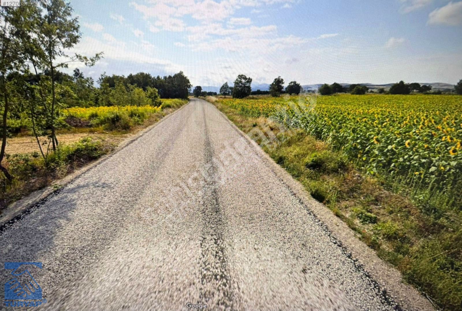 AŞAĞIYAVUCUK MAH.DUZLER MEVKII SATILIK 6599 M2 TARLA 1/2 HISSE