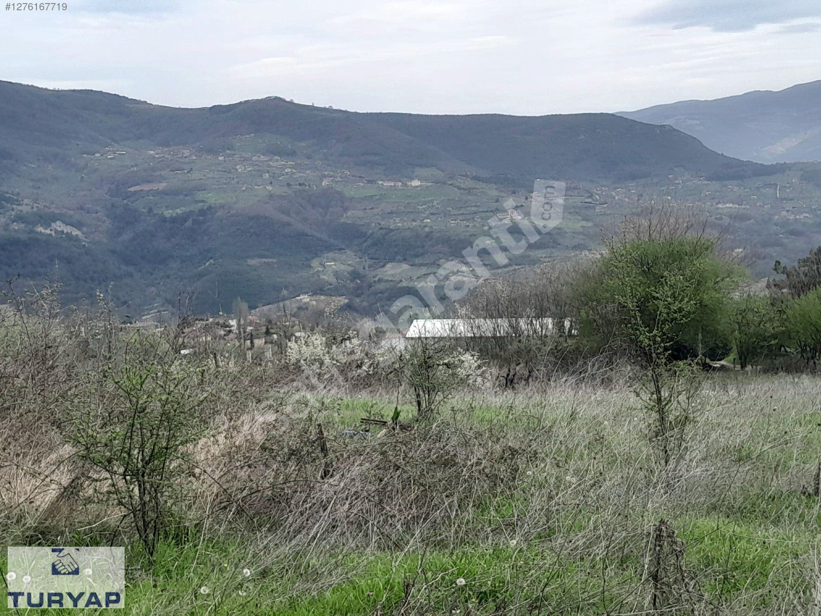 TURYAP' TAN SAKARYA GEYVE BAĞLARBAŞI'NDA SATILIK BAĞ YERİ