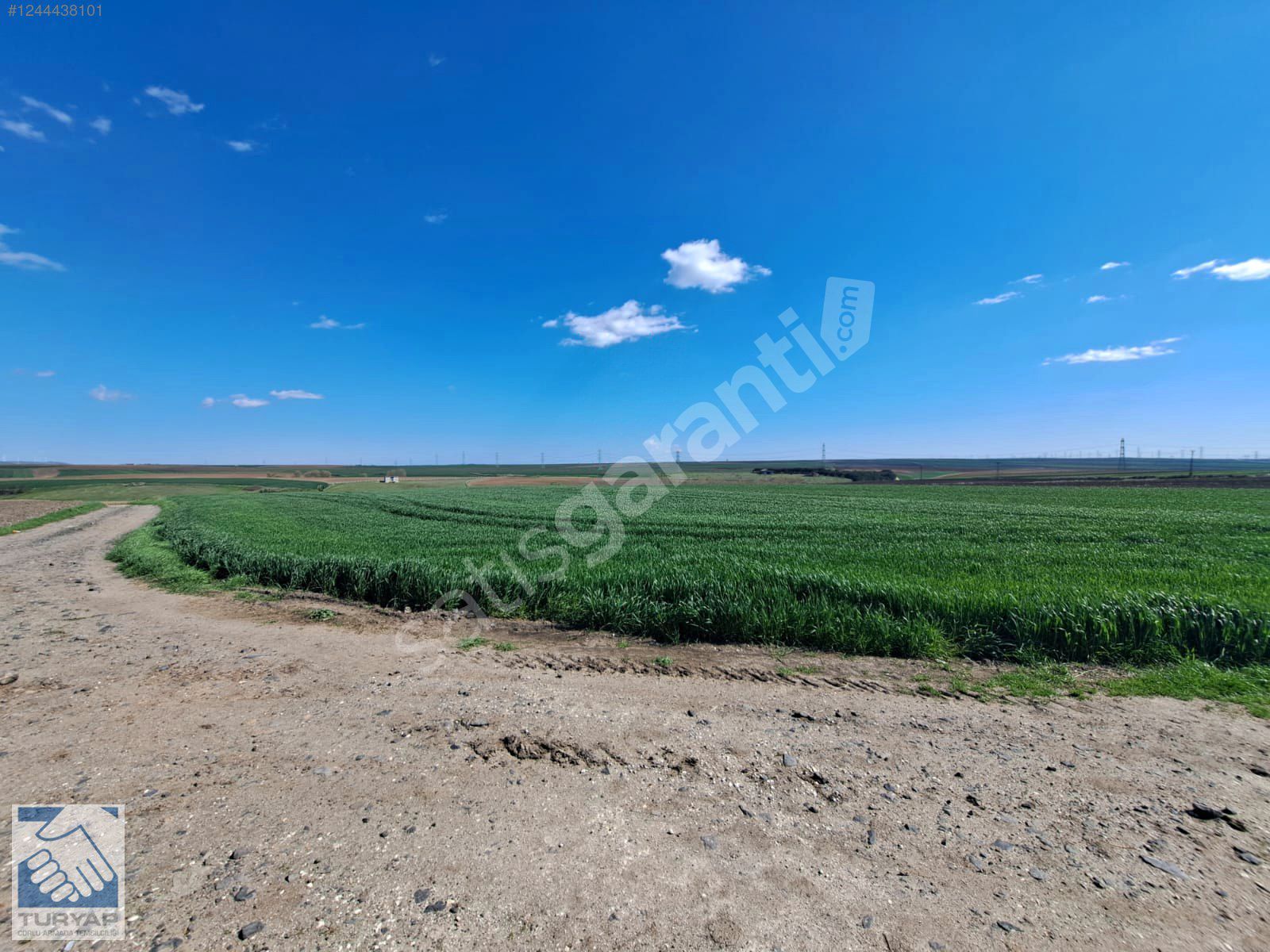 MARMARA EREĞLİSİ YAKUPLU İMAR SINIRINDA YATIRIMLIK ARAZİ