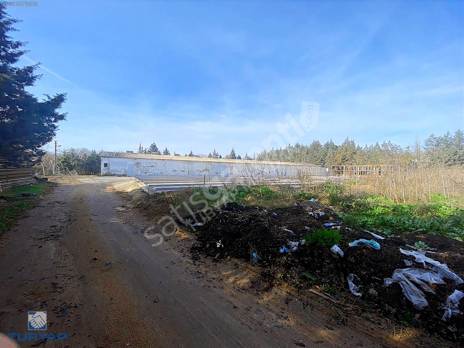 Pelitli 4100m2 ARSADA MÜKEMMEL KONUM ASFALT YOLA 40M CEPHELİ