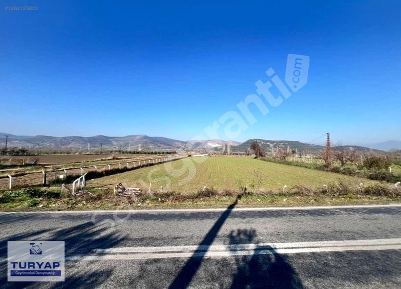 TURYAP TAN SELÇUK ANA YOLU ÜZERİNDE TİREYE 5KM SATILIK TARLA