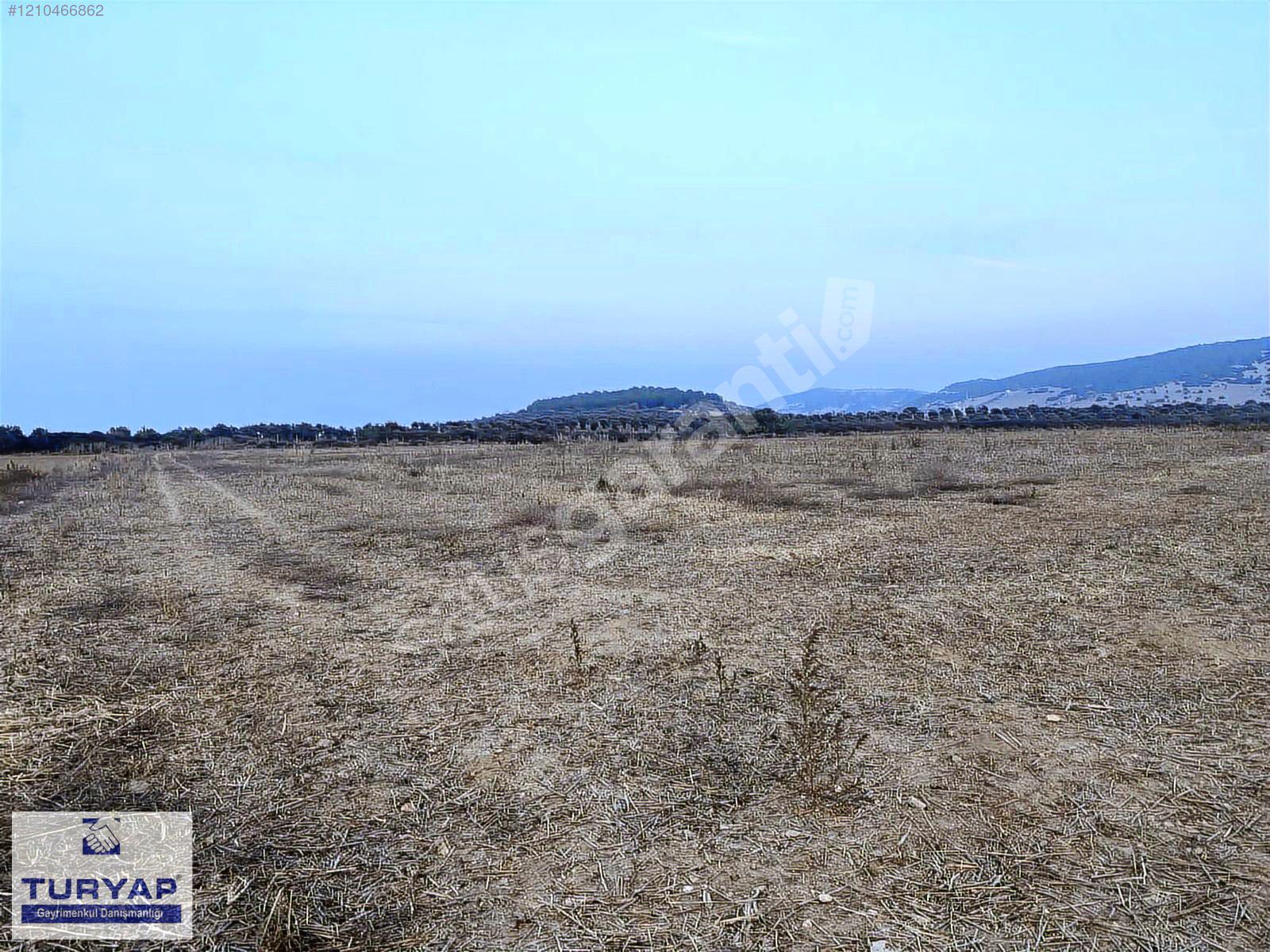 TURYAP'TAN ALACALI MAH.DE YATIRIMLIK TEK TAPULU TARLA!