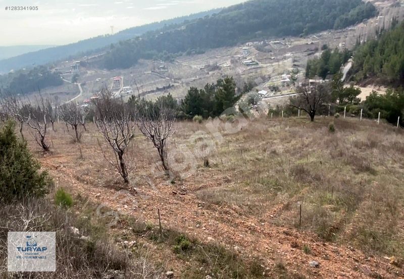 Kemalpaşa Damlacık'da Yola Cepheli, Manzaralı ve Tek Tapu 6701m2