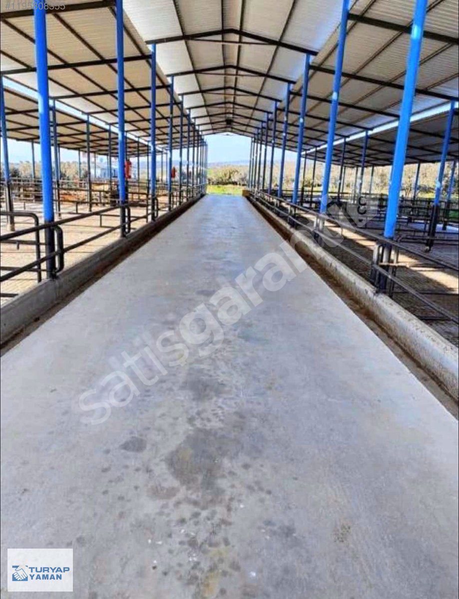 TURYAPTAN; HAYVANCILIK YAPMAYA VE TARIMSAL ÜRETİME UYGUN ÇİFTLİK
