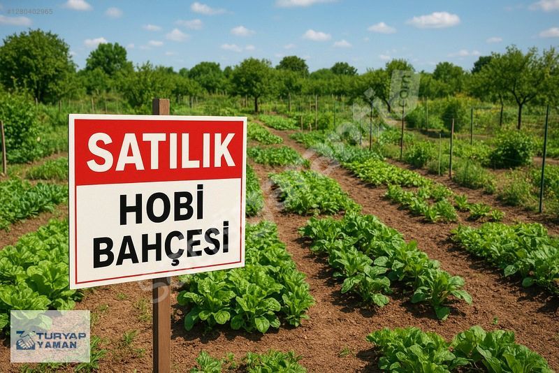 TURYAPTAN BOZKIRDA YAZI VE KIŞI AYRI GÜZEL ŞAHANE YAŞAM ALANI