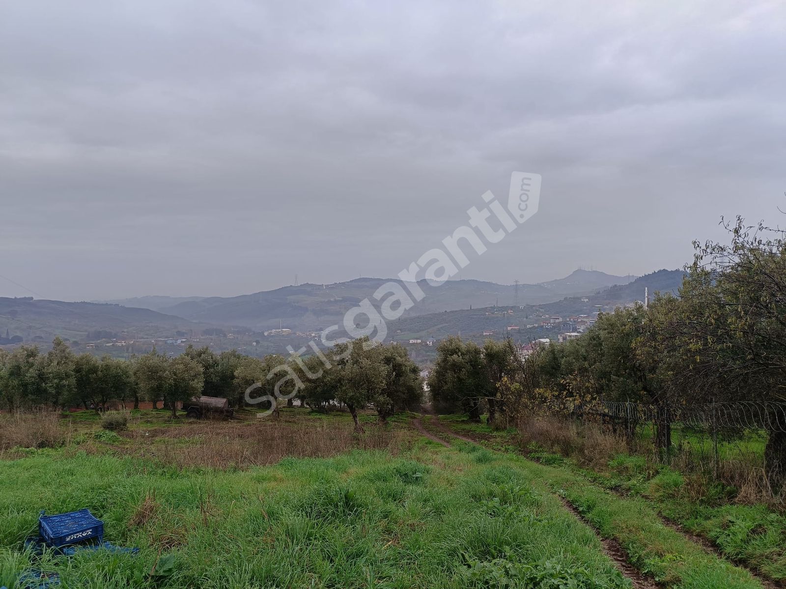 Bursa Osmangazi Dürdane Mah yatırımlık 1380 m2 satılık zeytinlik