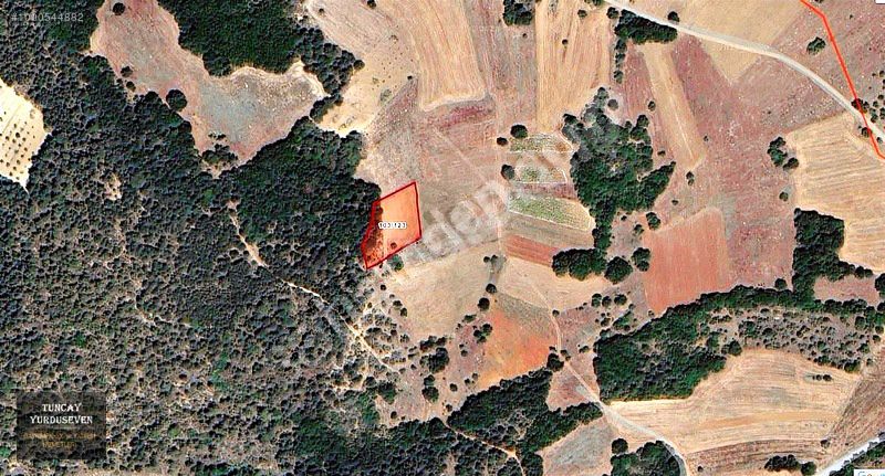 GÖLPAZARI KÜÇÜK SUSUZ KÖYÜNDE YATIRIMLIK ARAZİ PAZARLIKSIZ