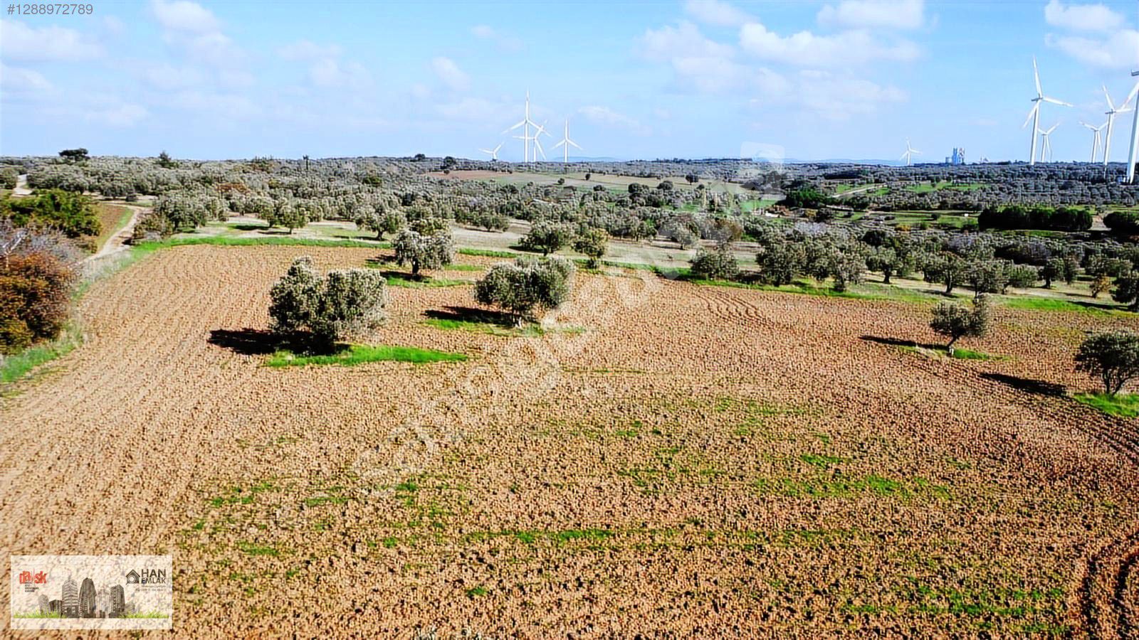 ÇANAKKALE HAN EMLAK'TAN EZİNE ÜVECİK KÖYÜNDE 50 DÖNÜM TARLA