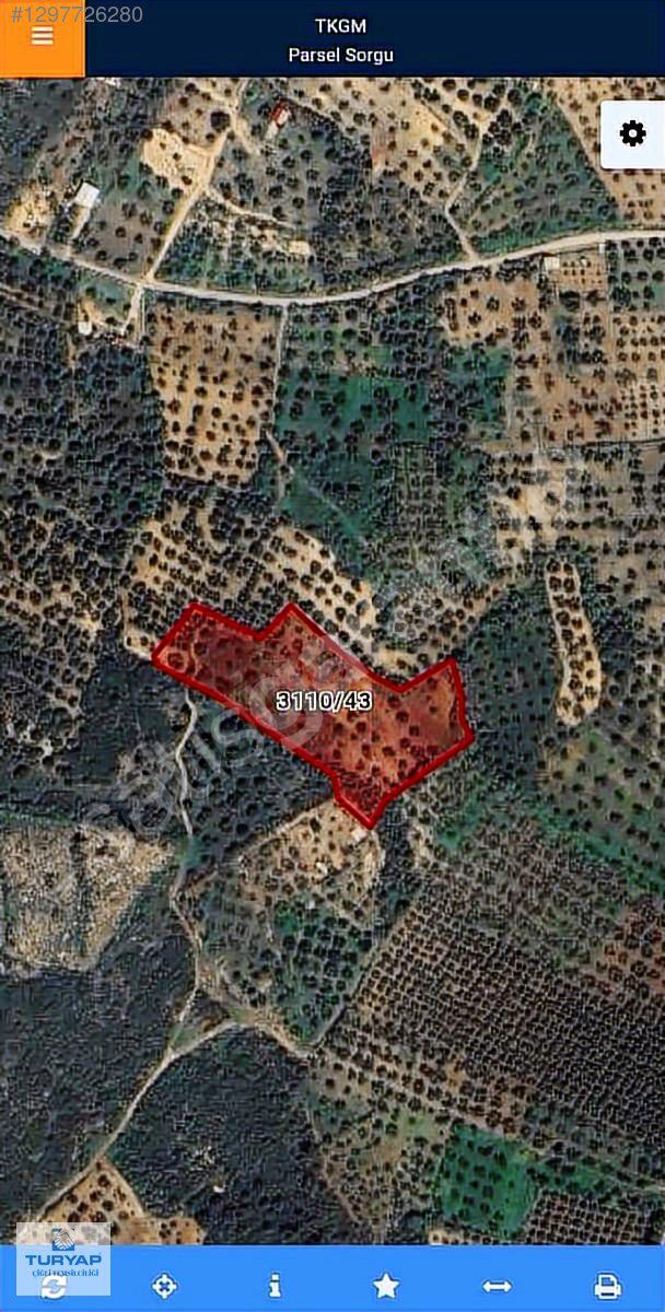 Aliağa Helvacı Barbaros Hayrettin Paşa Mahallesi Satılık Tarla