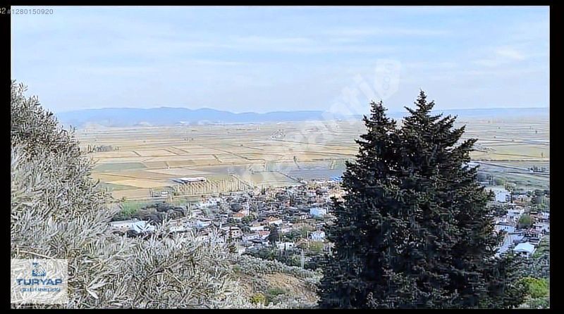 Aydın Söke Güllübahçe'de 3000m2 satılık tarla