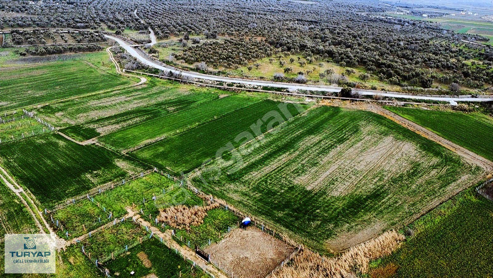 İzmir Menemen Türkelli Yıldırım Mahallesi Satılık 329M2 Tarla