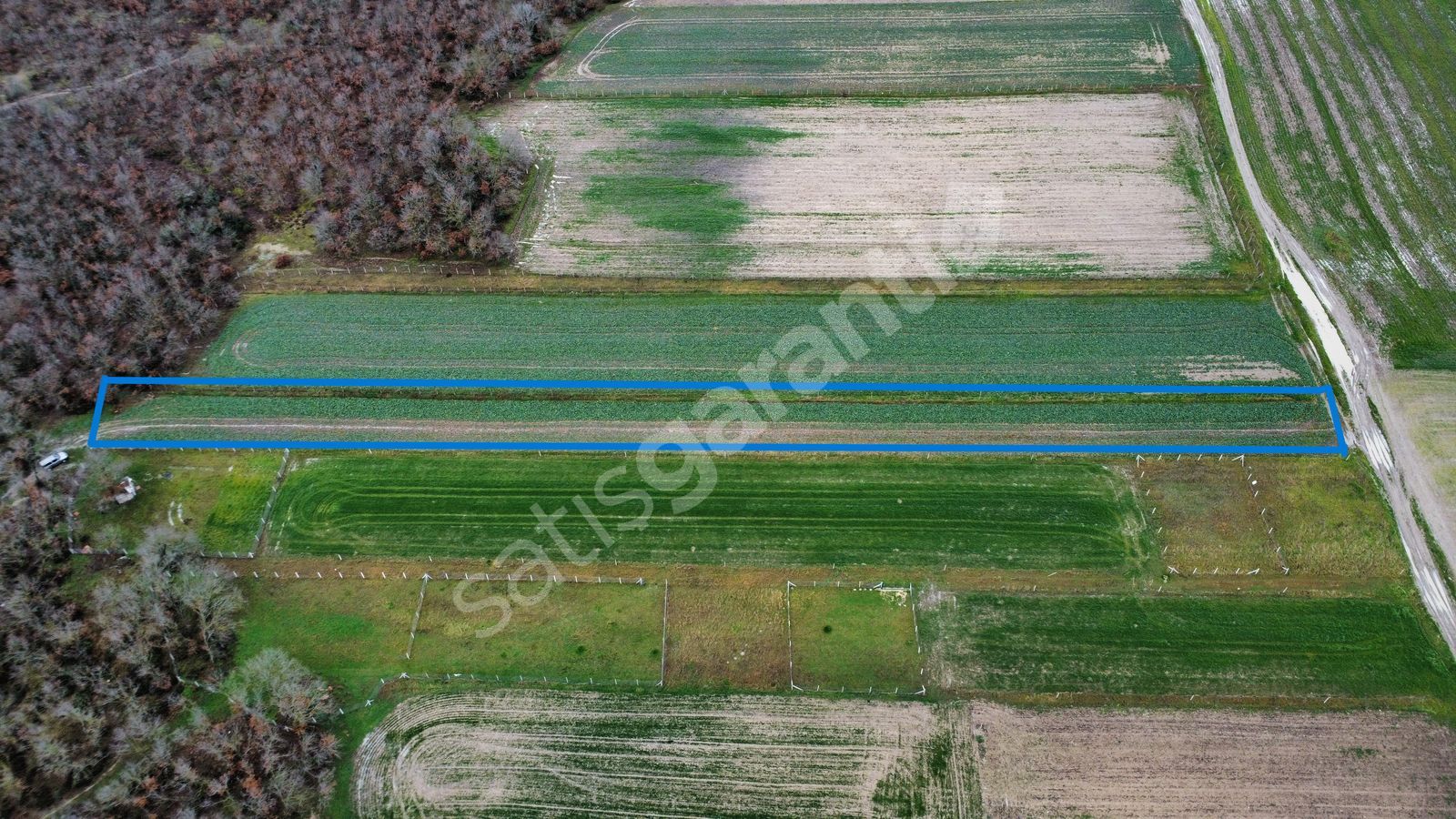 İMARA 350 METRE MESAFEDE SİLİVRİ BÜYÜKÇAVUŞLU'DA 8320 m2 TARLA 