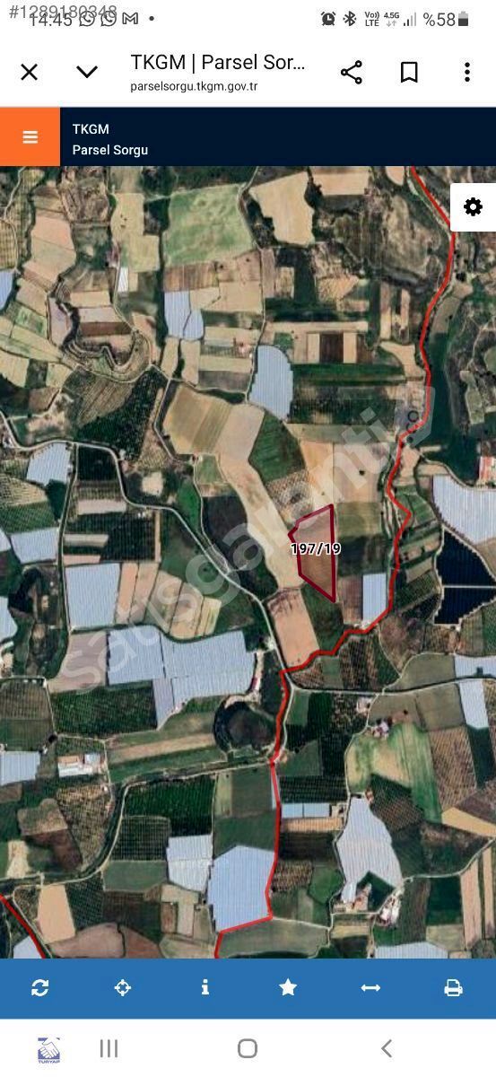 KALEMLER TEK TAPU 26 DÖNÜM SATILIK TARLA