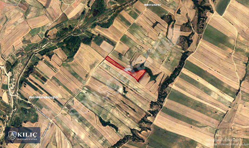 KIRKLARELİ BABAESKİ YENİKÖY DE SATILIK 15.000 m2 TARLA