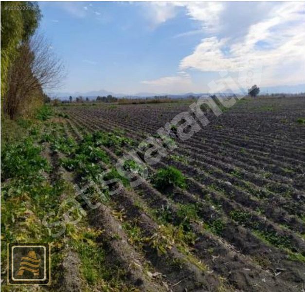 KADİRLİ ÇUKURKÖPRÜ'de, 22 DÖNÜM, TEK TAPU, VERİMLİ TARLA