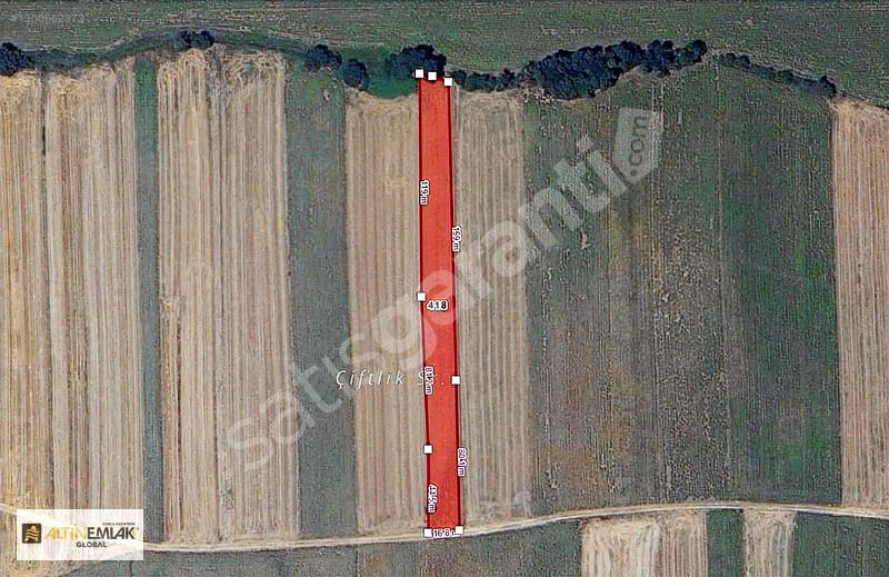 VİDEOLU!!! MURATLI AYDINKÖY'DE 4 DÖNÜM TEK TAPU TARLA