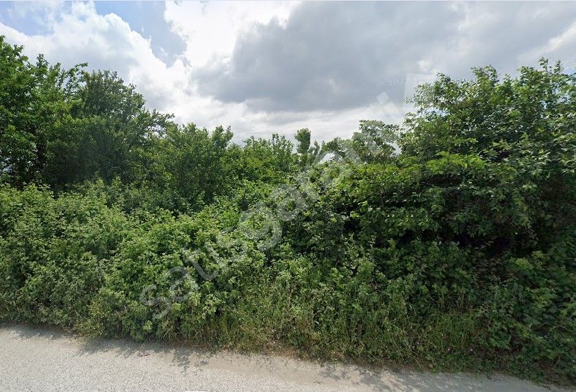 DÜZCE MERKEZ ÇAMKÖY MAHALLESİ MUSAYERİÇİFTLİK MEVKİİNDE SATILIK ARSA HİSSESİ – YATIRIM FIRSATI