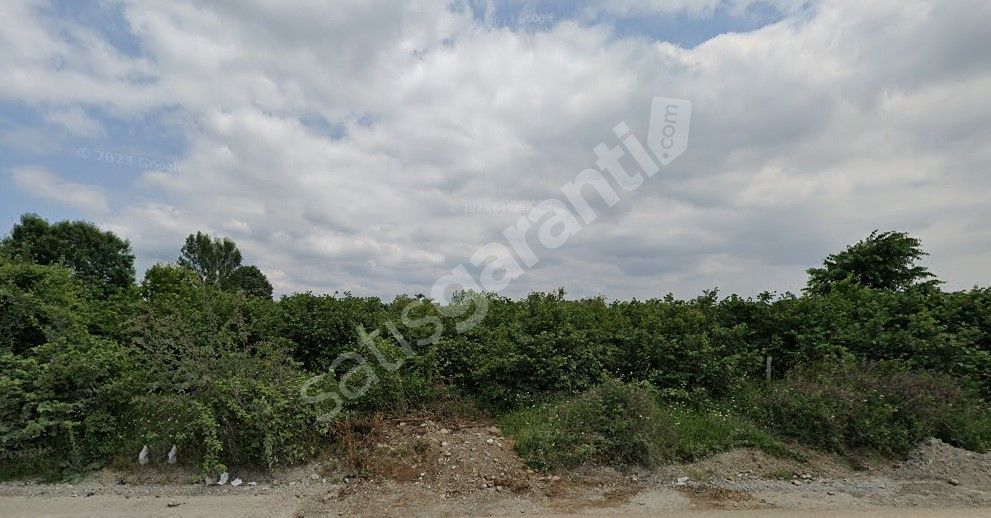 DÜZCE MERKEZ ÇAMKÖY MAHALLESİ MUSAYERİÇİFTLİK MEVKİİNDE SATILIK ARSA HİSSESİ – YATIRIM FIRSATI