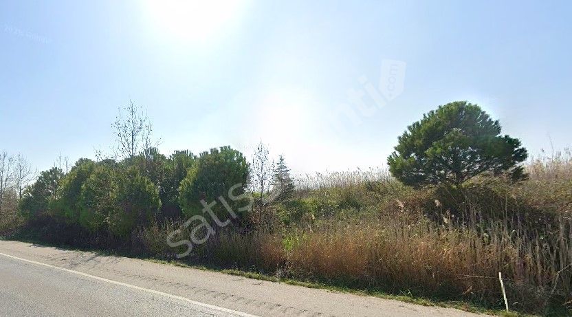 Bursa Karacabey Subaşı Mah yatırım fırsatı satılık tarla