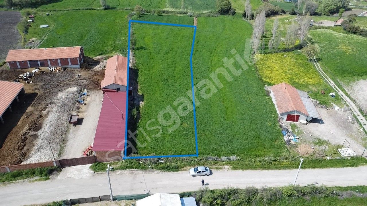 LAPSEKİ ŞAHİNLİ KÖYÜNDE 4100 m2 SATILIK TARLA HAN EMLAK'TAN