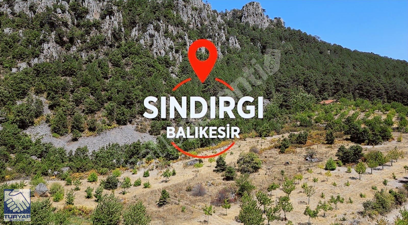 SINDIRGI ÇAYIR MAHALLESİNDE 12.920 M2 SATILIK 3 PARSEL TARLA