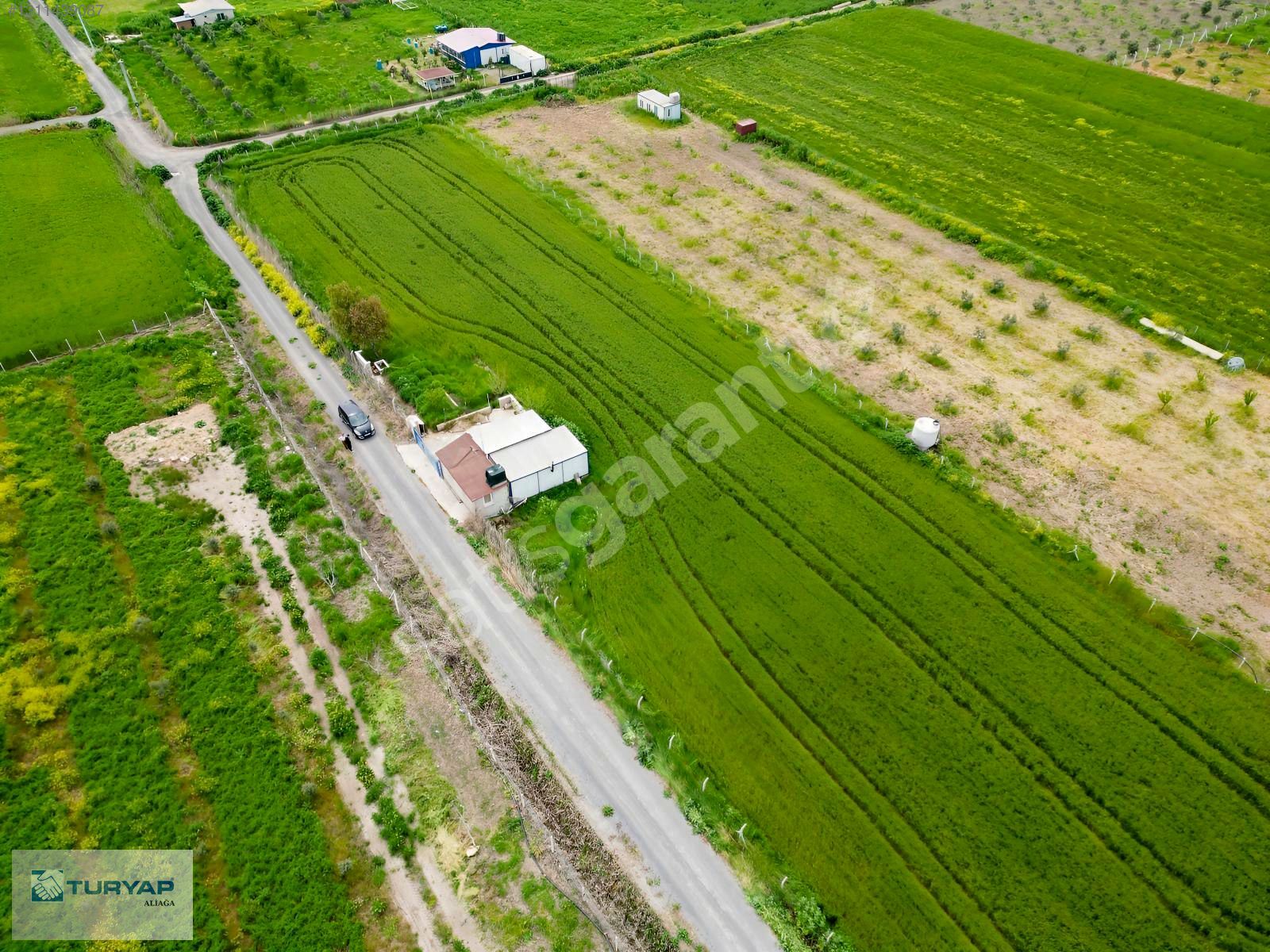 ALİAĞA HELVACI ÇAYIRİÇİN'DE KONTEYNERLI SATILIK FIRSAT TARLA