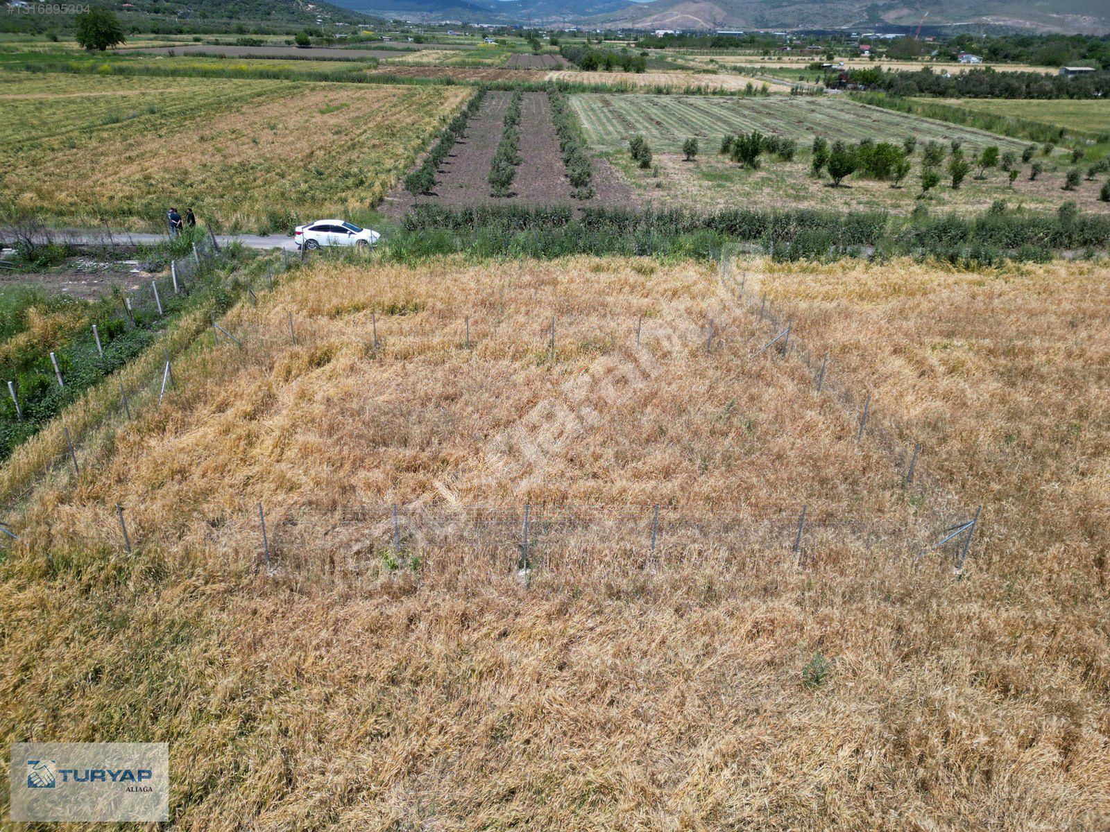 ALİAĞA HELVACI SATILIK 600M2 FIRSAT TARLA