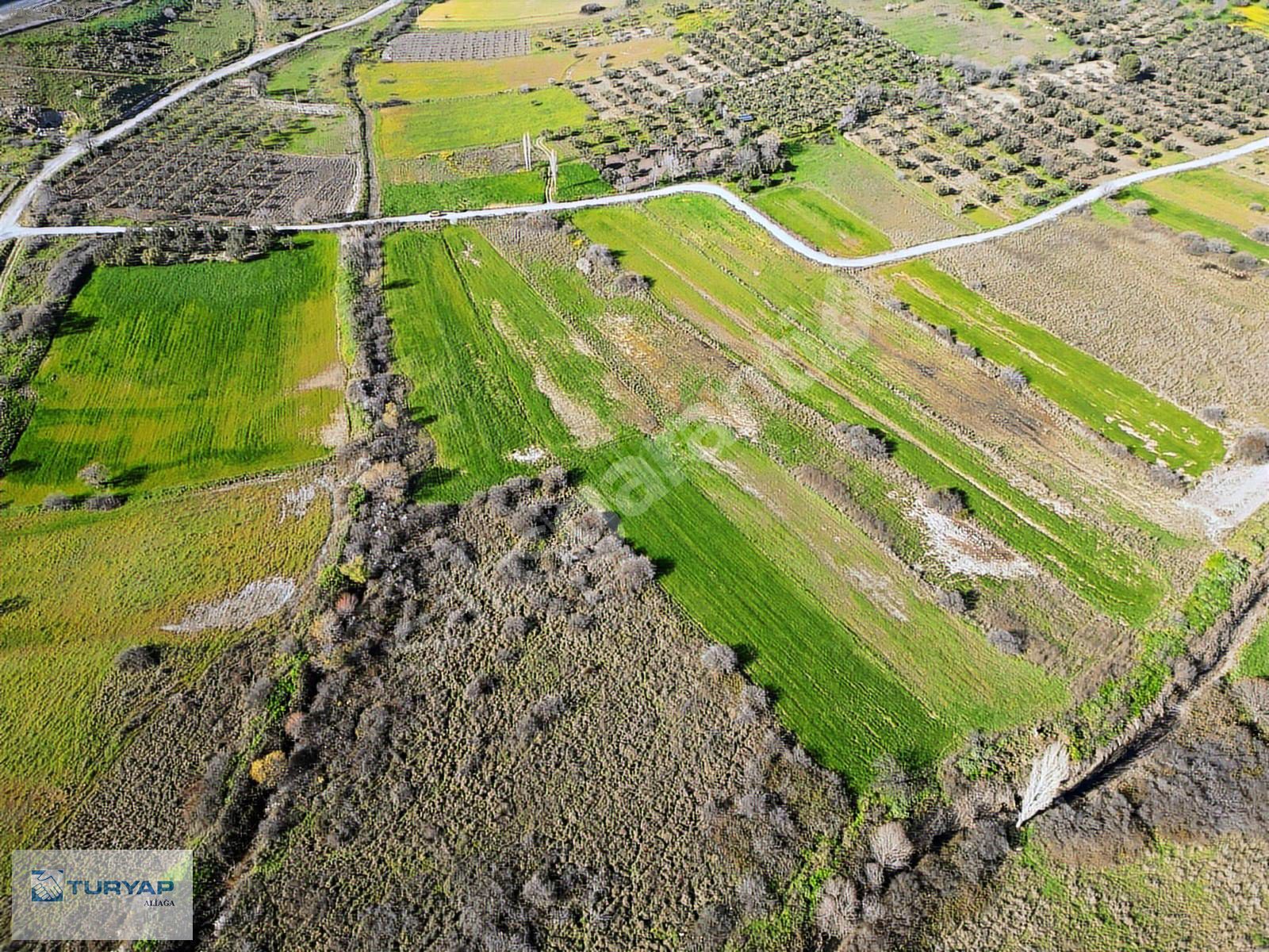 ALİAĞA KALABAK TA 1.173 m2 FIRSAT TARLA